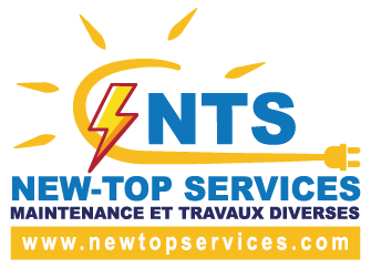 Logo new top services - NTS